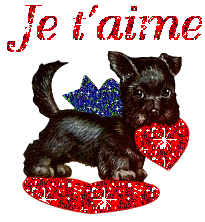 je t'aime